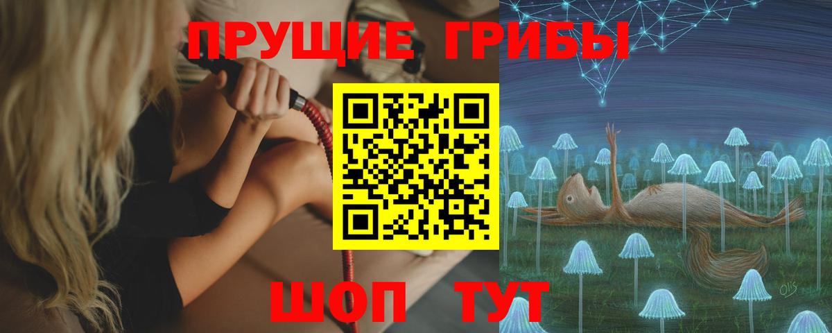 Псилоцибиновые грибы Cubensis Ярославль