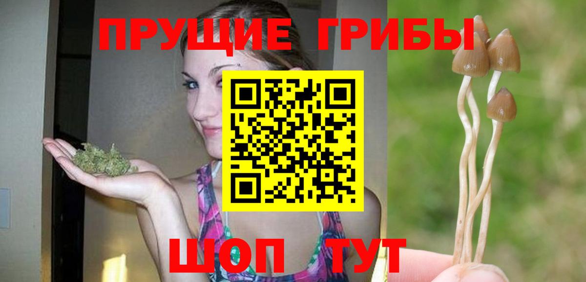 Галлюциногенные грибы Magic Shrooms  Галлюциногенные грибы Psilocybine cubensis  Вход с VPN  Ярославль 